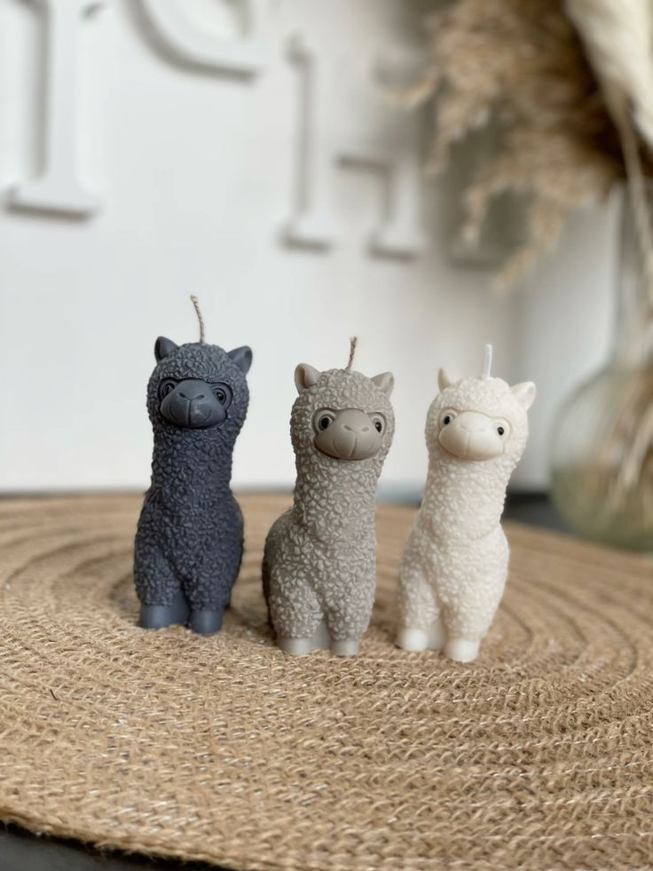 VELA ALPACA