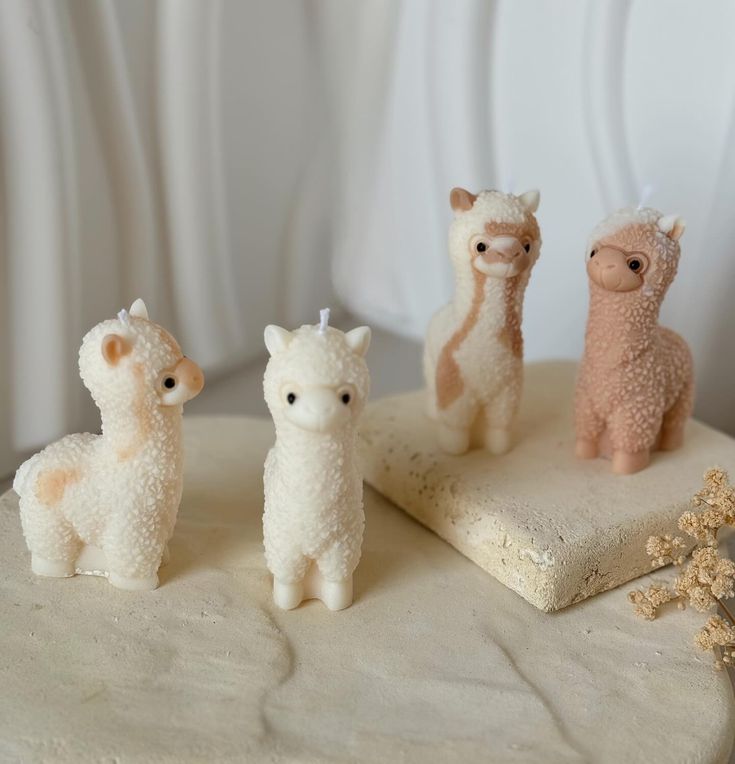 VELA ALPACA